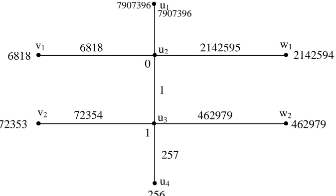 Figure 2.10:  Tg4 with an eighth order triangular sum labeling 256 