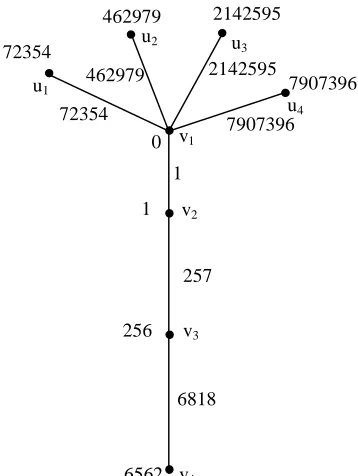 Figure 2.11:  Coconut tree T(4, 4) with an eighth order triangular sum labeling 