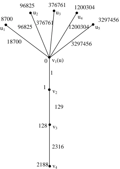 Figure 2.6: T (4, 5) with a seventh order triangular sum labeling 
