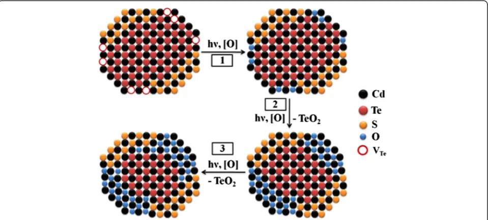 Fig. 7 Schematic representation of the three-step photooxidation process of CdTe/CdS core/shell nanocrystal:2 1—the anion vacancies oxidation,—oxidation of bare CdTe core, and 3—oxidation of passivated area of the core due to oxygen diffusion through the CdS shell