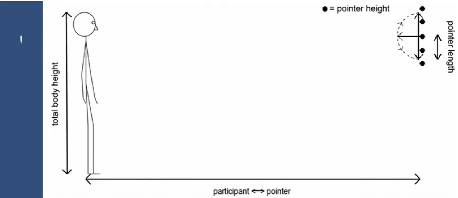 Fig 2A (left). The pointer stimulus. An example image of the pointer stimulus, here with an 