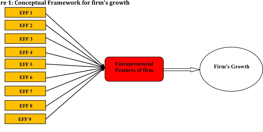 Figure 1: Conceptual Framework for firm’s growth 