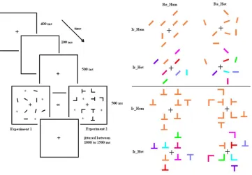 Fig. 1. (a) Example of trial sequence and exemplar display with target-present in Experiment 1 or For Peer ReviewExperiment 2