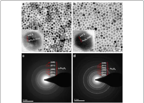 Fig. 2 Characterization of the synthesized nanoparticles.HRTEM images. a TEM image of spherical IONPs