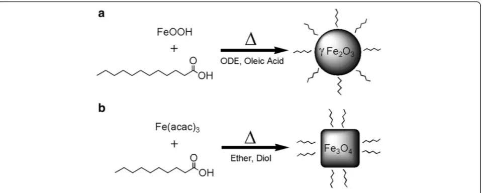 Fig. 3 Schematic diagram. a Synthesis scheme of spherical IONPs. b Synthesis scheme of polyhedral IONPs