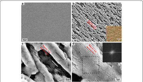 Fig. 5 SEM images of the rod-shaped superstructures prepared under different conditions.solution