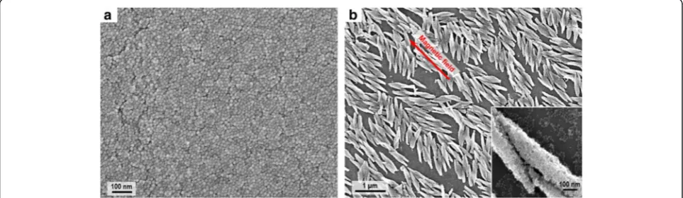 Fig. 6 SEM images of the assembled structures prepared with polyhedral IONPs. a SEM image of the homogeneous film
