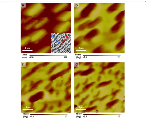 Fig. 8 MFM characterization of the rod-shaped superstructures. a AFM image of the superstructures, with an inset of SEM image
