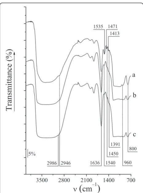Fig. 4 IR spectra of CD-MCM-41ps (a), CD-MCM-41-1sg (b), andCD-MCM-41-2sg (c) silicas