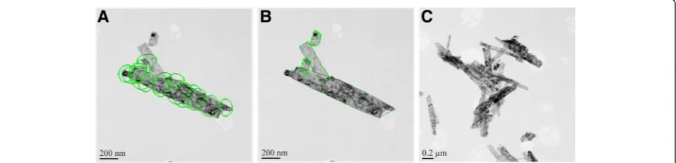 Fig. 4 The particle analysis of silver nanoparticles by the developed program: (a) the automatically identified particles, (b) detail of an arearequiring manual correction, (c) the same area after manual corrections