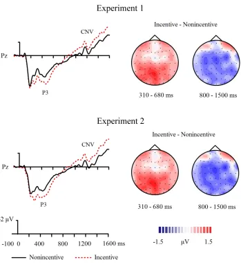 Figure 2. Grand average waveforms at Pz showing the potentials produced in response to the presentation of the cues in Experiments 1 and 2