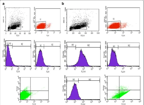 Figure 2 EPCs’ adhesive behavior in co-cultures with unanodized, anodized titanium surfaces and tissue culture polystyrene plates.Fluorescent images of increased EPC adhesion on TCPS (upper panel), unanodized titanium (middle panel) and anodized titanium w