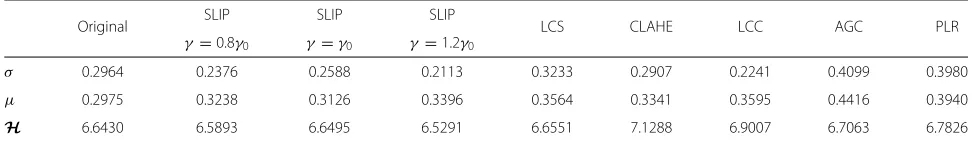 Fig. 10 Experimental results using the ferrari image