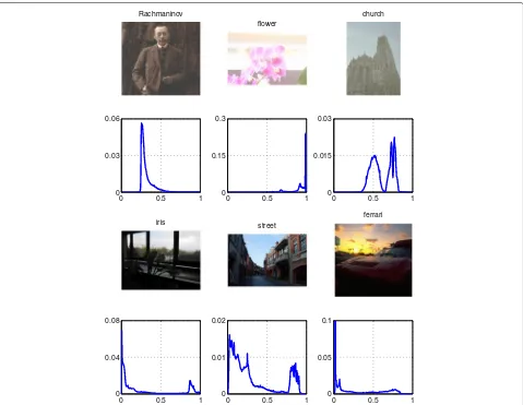 Fig. 1 First row: images of global low contrast. Second row: normalized histograms of images in the first row