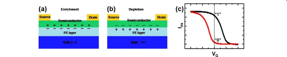Figure 2 The current models of NVMDs. (a) The capacitor model, consisting of a thin ferroelectric film between two conductive electrodes