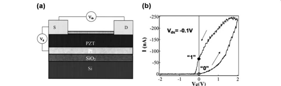Figure 5 ZnO NW FeFET device. (a) Schematics of the deviceconfiguration. (b) SEM image of a single device