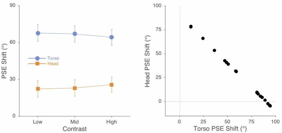 Figure 7: Left panel: Mean PSE Shifts in Experiment 2. As in Experiment 1, clear contributions were apparent for both the head and the torso, with the torso’s contribution being larger than the head’s