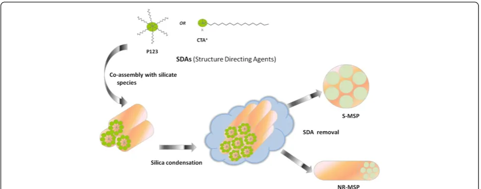 Figure 2 The applied surface functionalization procedures for spherical and rod-shaped mesoporous silica nanoparticles.