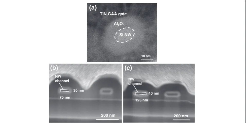 Figure 3 52° tilted SEM images of different sized NW devices before the gate stack formation