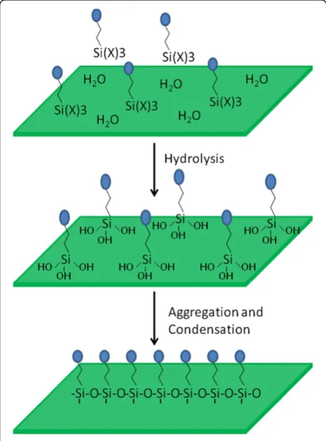 Figure 1 The schematic illustration of self-assembly oforganosilanes on the ceramic oxide surface