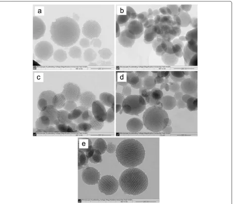 Figure 2 The TEM of MSN (a), Vi-SAM-MSNs (b), Pr-SAM-MSNs (c), Is-SAM-MSNs (d), and Ph-SAM-MSNs (e).