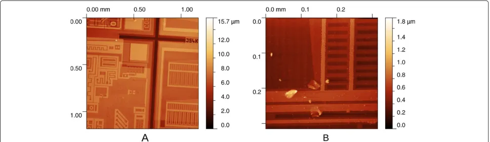 Figure 4 Images of a microchip surface acquired using both systems. (A) AFM measurement using CRB stage
