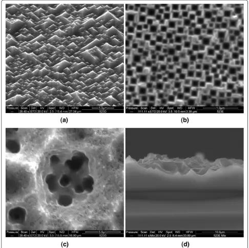 Figure 2 SEM micrographs of Si(100) wafers etched in 0.07 M HIO3 in 3:5 ethanol/HF solutions