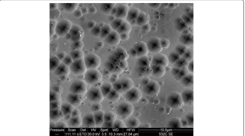 Figure 3 SEM micrograph of 0- to 100-Ω cm p-type Si(100) etched in I2 + NaI + ethanol + HF for 25 min.