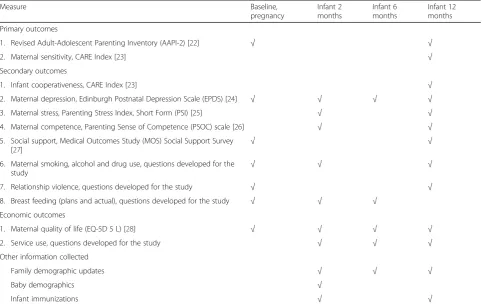 Table 1 Measures and data collection timetable