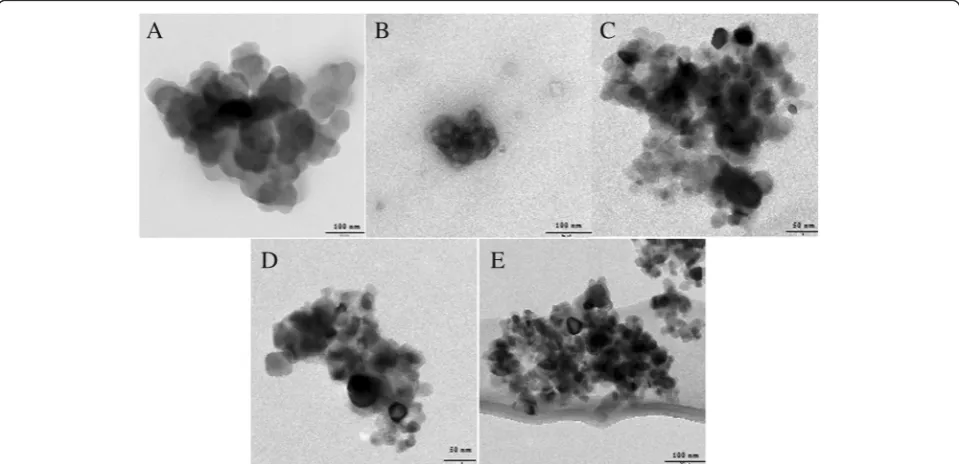 Fig. 1 TEM images of a BaA, b BaA-silane-PEGm (MW350), c BaA-silane-PEGm (MW1000), d BaA-silane-PEGm (MW2000), and e BaA-silane-NH2