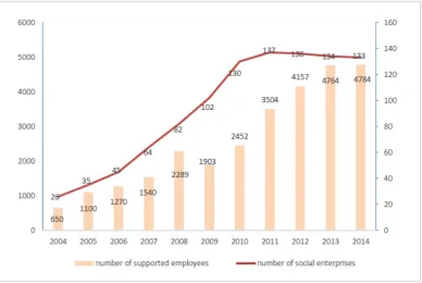 Figure 5 Social enterprises 