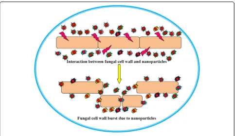 Fig. 6 Possible mechanism behind fungus and nanoparticles interaction