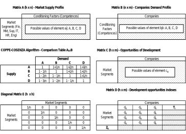 Figure 7: Matrices of the Multicultural Competences Hierarchization Model.  