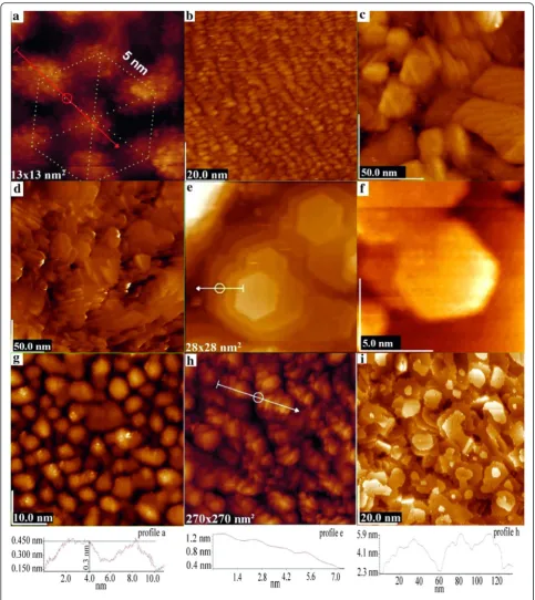 Fig. 2 Gold nanostructures on Si (111) (a–e) and Si (110) (f–i)
