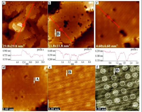 Fig. 3 Gold nanostructures on Si (111) surface (a–f)