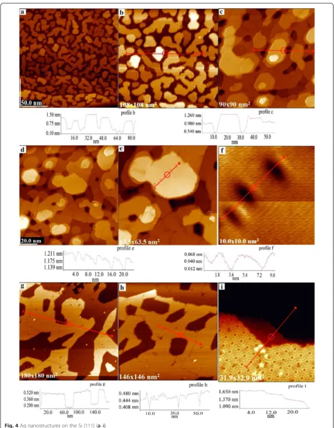 Fig. 4 Ag nanostructures on the Si (111) (a–i)