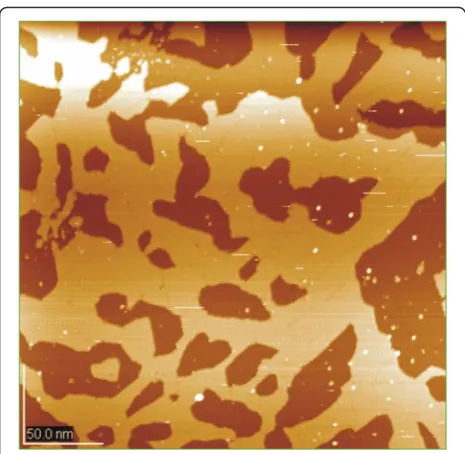 Fig. 5 Ag nanostructures on the Si (111) (nanoart)