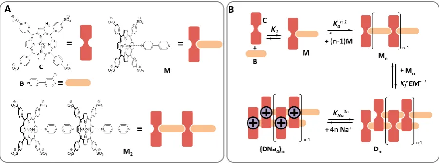 Figure 1. A. Chemical structure of the building blocks and their cartoon representation