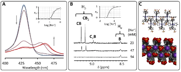 Figure 2. A. Changes in the Soret band region of the UV spectrum of an equimolar solution of C and B ([C] = 10 M) upon increasing the concentration of buffer