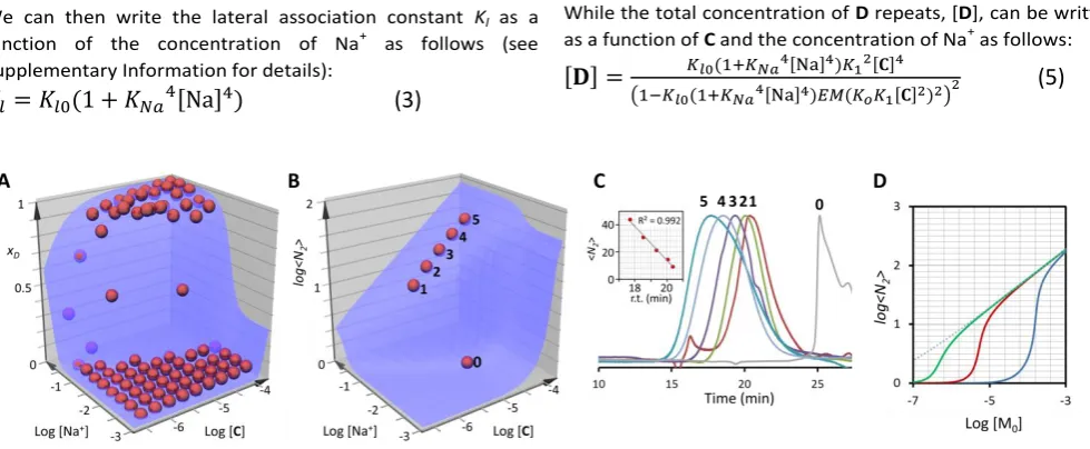 Figure 3. A. Changes of the mole fraction of monomer within the double stranded polymer, xD, with the concentration of Na+ and the total concentration of C (which is equal to that of B)