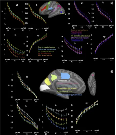 Fig. 2. Depth proﬁle plots for multi-parameter maps across cortical ROIs. (a) Depth proﬁle plots for lateral surface ROIs