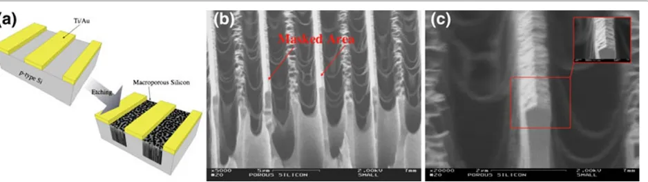 Figure 2 SEM cross-sectional tilted view of a macroporous layer grown on Ti/Au patterned silicon substrates