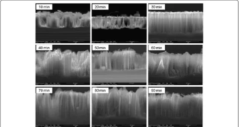 Figure 2 Cross-section SEM images of formed SiNWs at different durations.