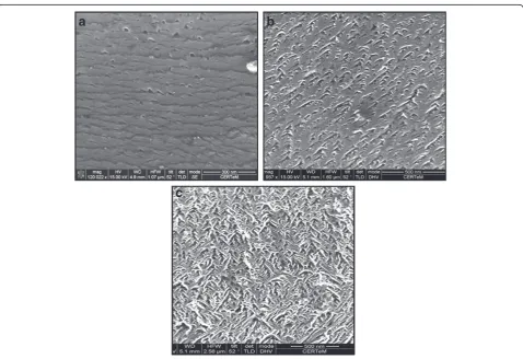 Figure 3 Measured potential during the initiation of the pores.The initiation was carried out for a fixed current density of 25.5 mA/cm2 in the case of SiC (C and Si faces)