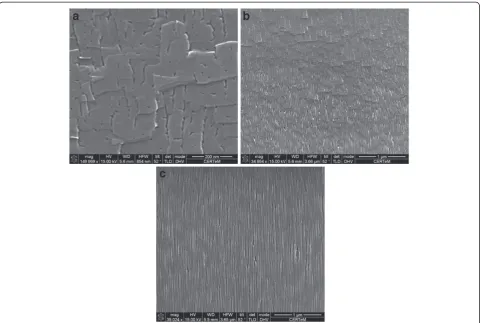 Figure 5 Evolution of the porous SiC morphology for a constant applied current density of 25.5 mA/cm2