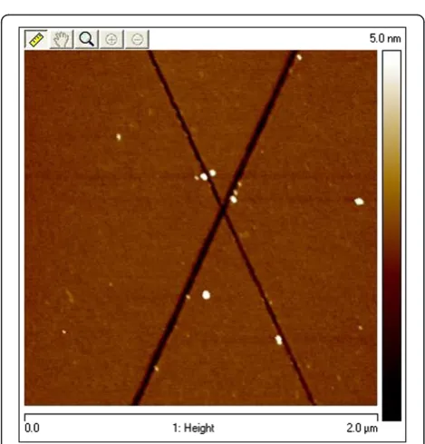 Figure 6 Evolution of the porous SiC morphology for a constant applied current density of 63.3 mA/cm2