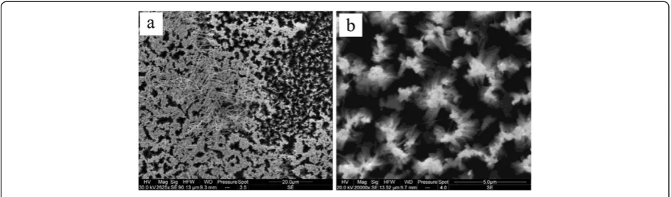 Figure 1 SEM images of sample A. (a) silver dendrites and nanoparticles and (b) magnification of silver nanoparticles.