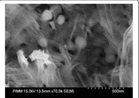 Figure 6 Top SEM image of sample C after etching in HFsolution.