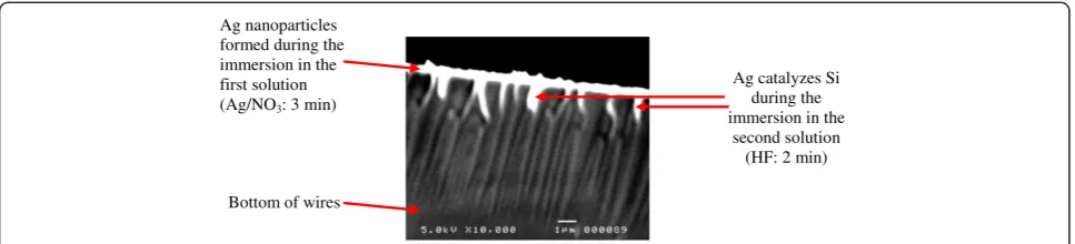 Figure 7 Cross-section SEM image of sample C showing both protecting and catalyzing effect of Ag nanoparticles.