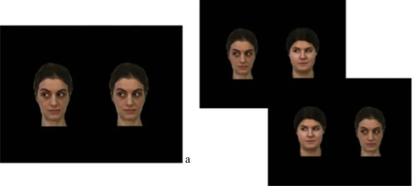 Fig. 1. Example of the stimuli used in the experiment: a. Habituation period; b. Preference test.